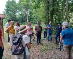 Visite du Ramier de Palaminy