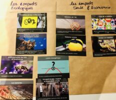 Fresque de la mobilité