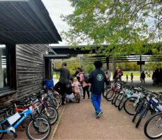 Vente de vélos Auterive Nouvélo